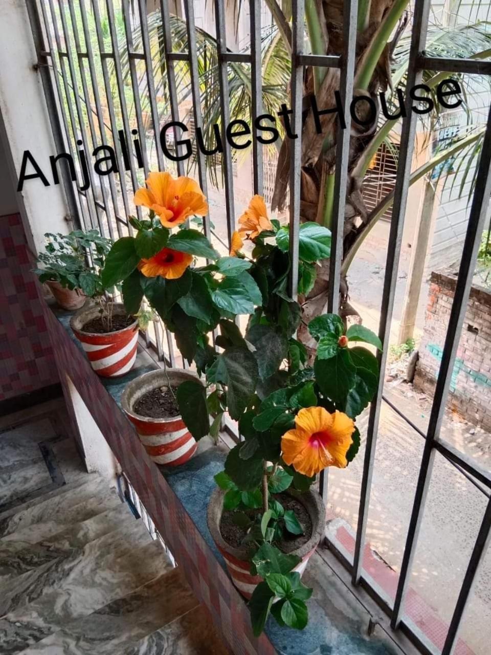 Anjali Guest House Digha  Exteriör bild